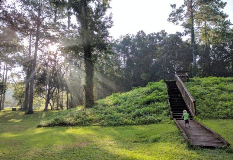 Lake Jackson Mounds State Park, Florida, USA